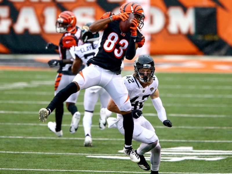 JACKSONVILLE JAGUARS @ CINCINNATI&nbsp;BENGALS
