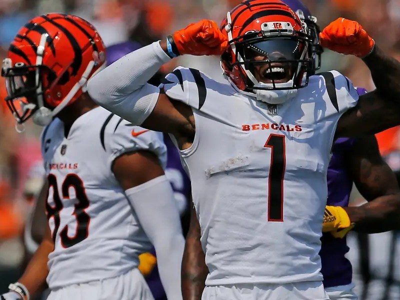 CINCINNATI BENGALS @ PITTSBURGH&nbsp;STEELERS