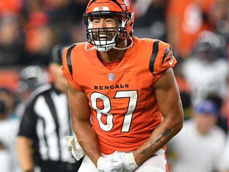 SAN FRANCISCO 49ERS @ CINCINNATI&nbsp;BENGALS